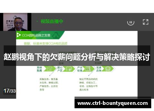 赵鹏视角下的欠薪问题分析与解决策略探讨 赵鹏视角下的欠薪问题分析与解决策略探讨