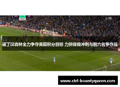 诺丁汉森林全力争夺英超积分目标 力拼保级冲刺与前六名争夺战 诺丁汉森林全力争夺英超积分目标 力拼保级冲刺与前六名争夺战